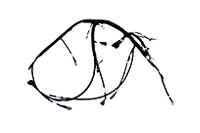 BMS采集线束