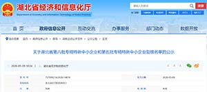 喜报｜湖北捷优信达顺利通过2026年省级“专精特新”中小企业复核认定